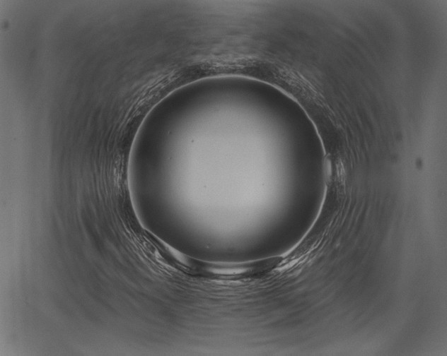 X0000067391300200603311249