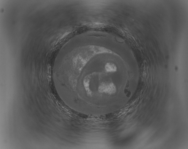 X0000067391301200603311249