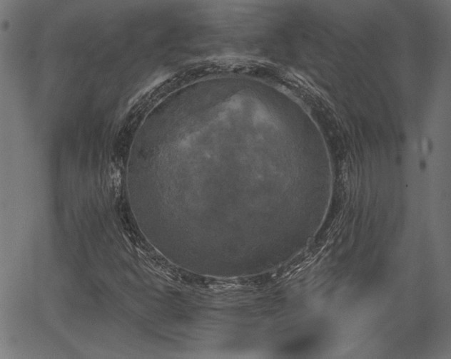 X0000067391302200603311249