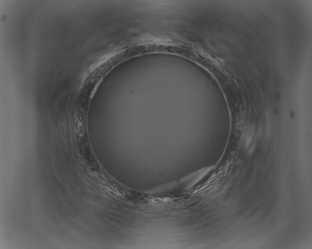 X0000067391303200603311249