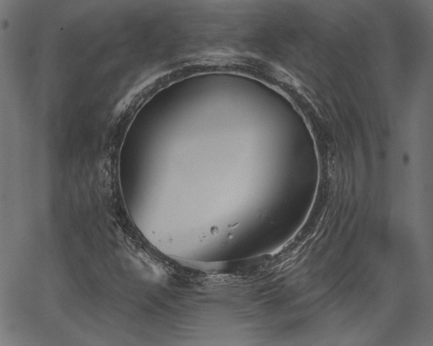 X0000067391304200603311249