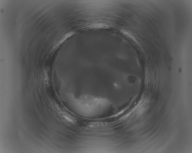 X0000067391305200603311249