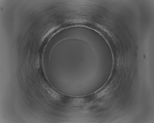 X0000067391306200603311249