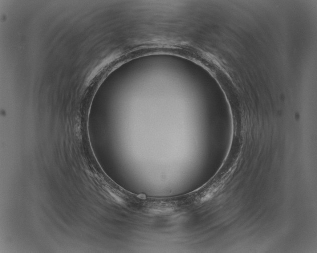 X0000067391307200603311249