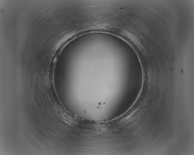 X0000067391308200603311249