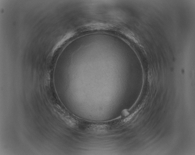 X0000067391309200603311249