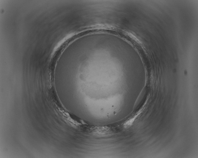 X0000067391310200603311249