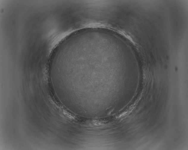 X0000067391311200603311249