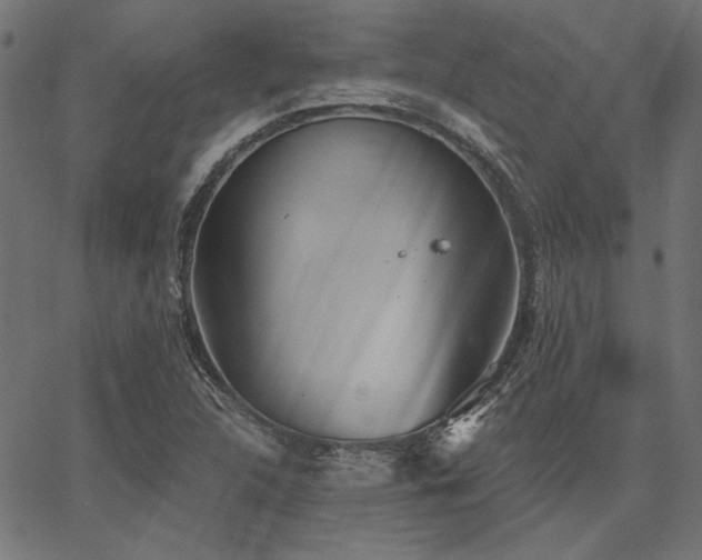 X0000067391312200603311249