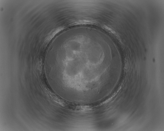 X0000067391313200603311249