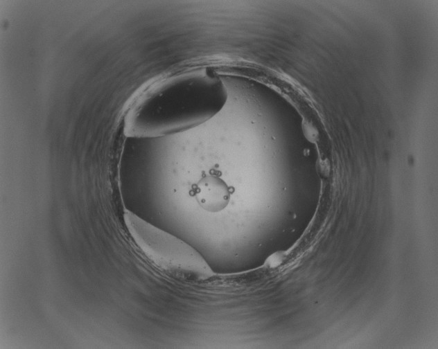 X0000067391314200603311249