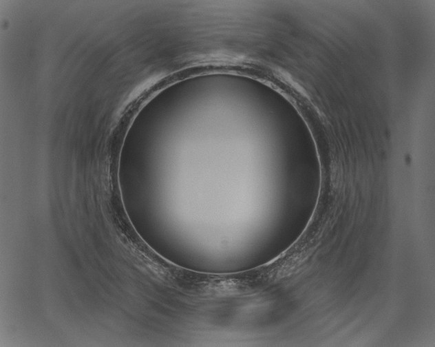 X0000067391315200603311249