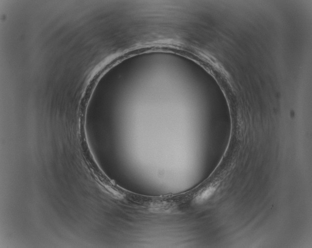 X0000067391316200603311249