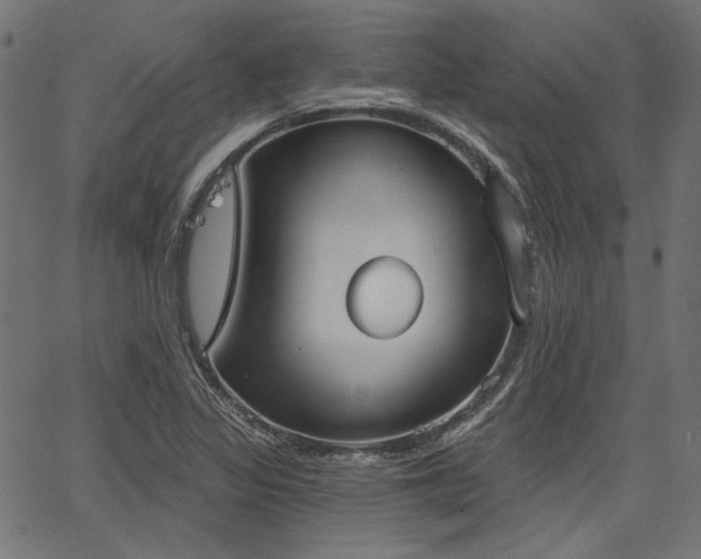 X0000067391317200603311249