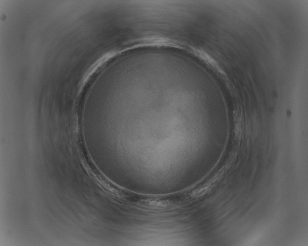 X0000067391318200603311249