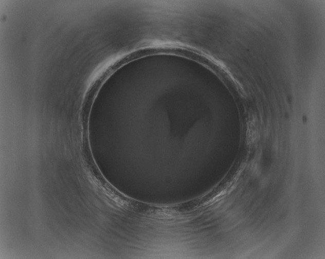 X0000067391319200603311249