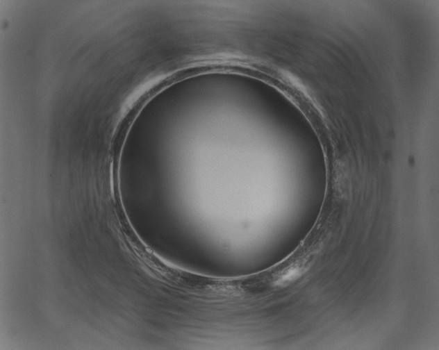 X0000067391320200603311249