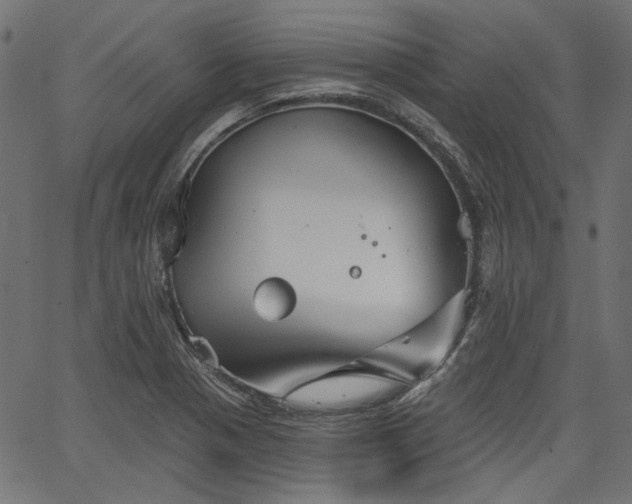 X0000067391321200603311249