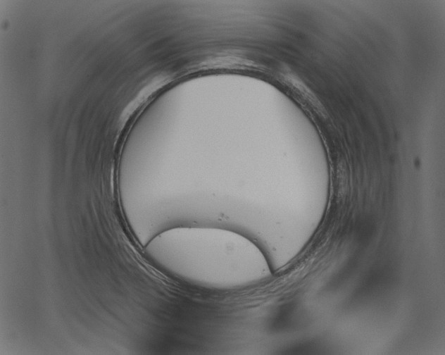 X0000067391322200603311249