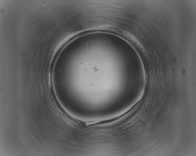 X0000067391324200603311249