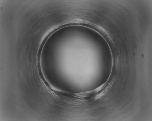 X0000067391326200603311249