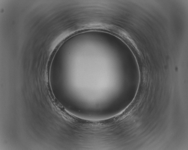 X0000067391328200603311249