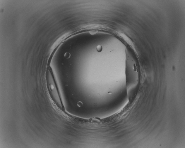 X0000067391330200603311249