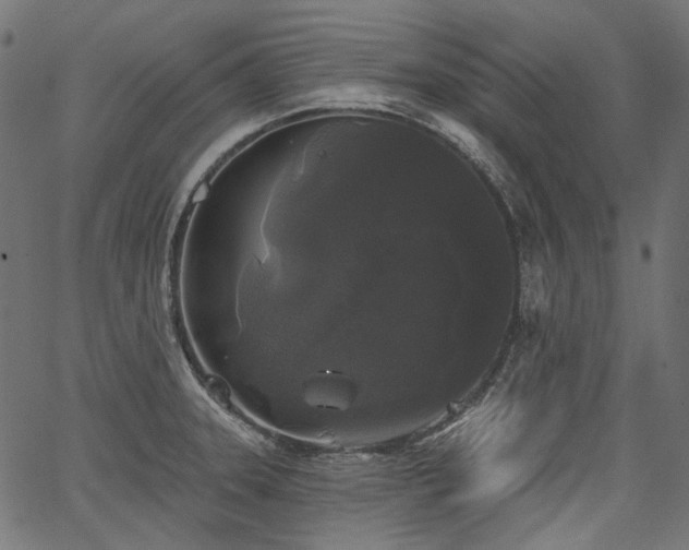 X0000067391331200603311249