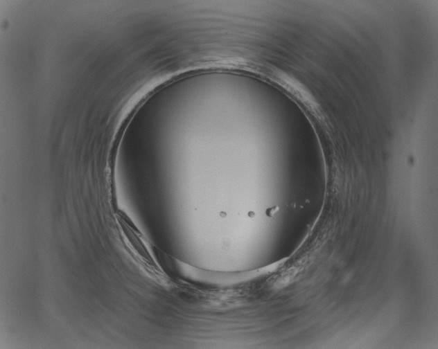 X0000067391332200603311249