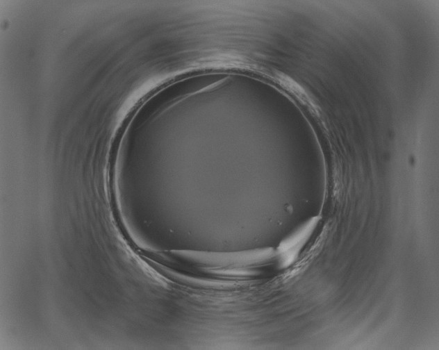 X0000067391334200603311249