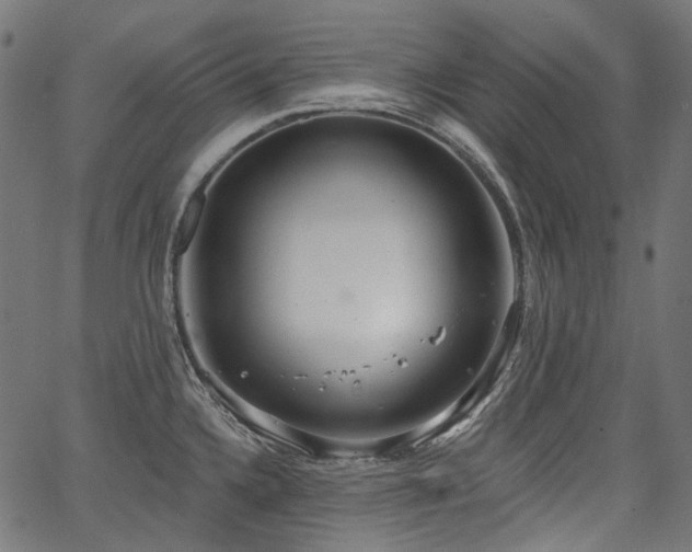 X0000067391336200603311249