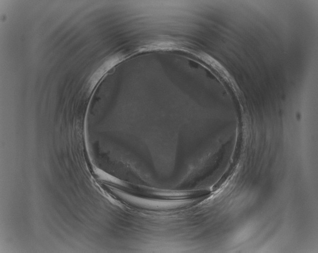 X0000067391337200603311249