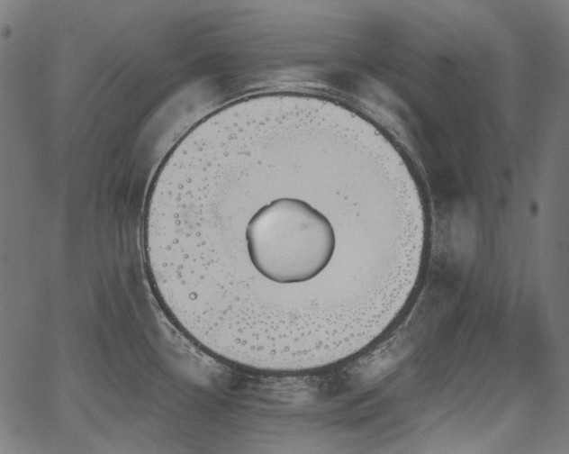 X0000067391338200603311249