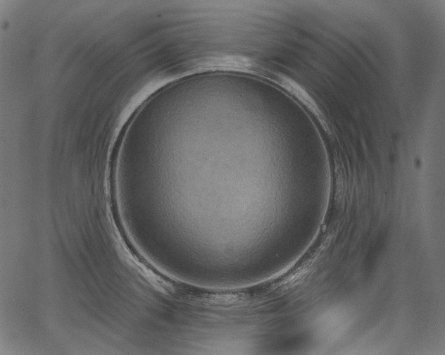 X0000067391339200603311249