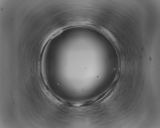 X0000067391340200603311249