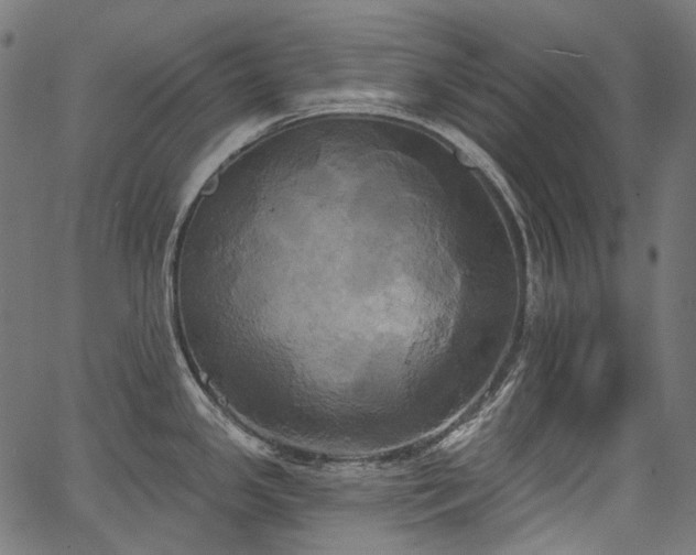 X0000067391341200603311249