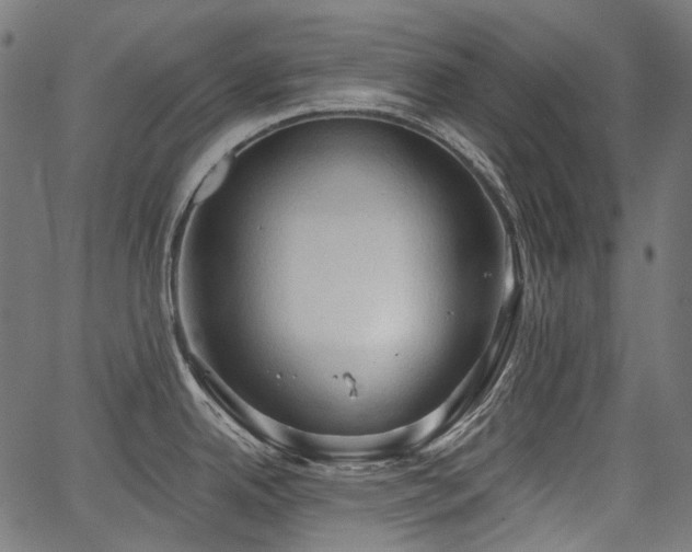 X0000067391342200603311249