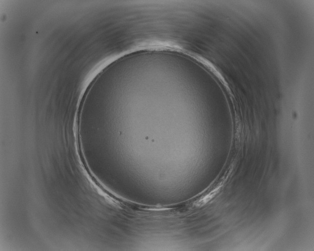 X0000067391343200603311249