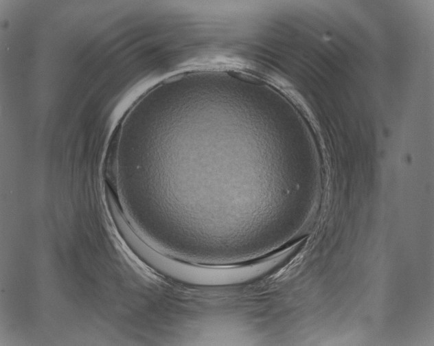 X0000067391344200603311249