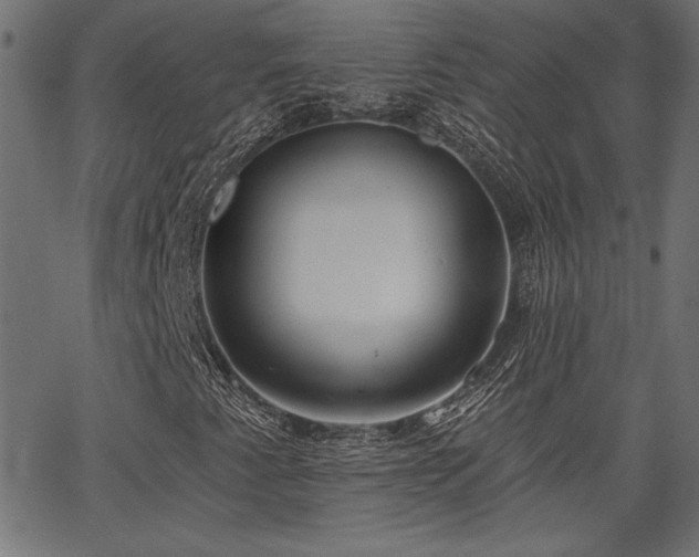 X0000067391345200603311249