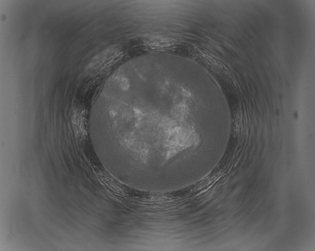 X0000067391346200603311249