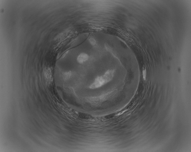 X0000067391347200603311249