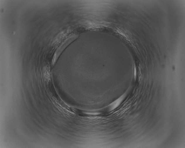 X0000067391348200603311249