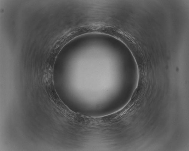 X0000067391349200603311249