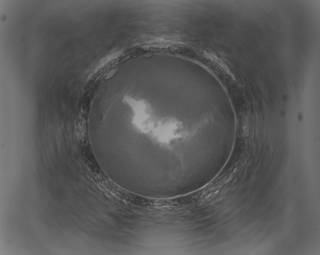 X0000067391350200603311248