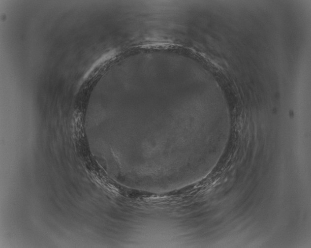 X0000067391351200603311248