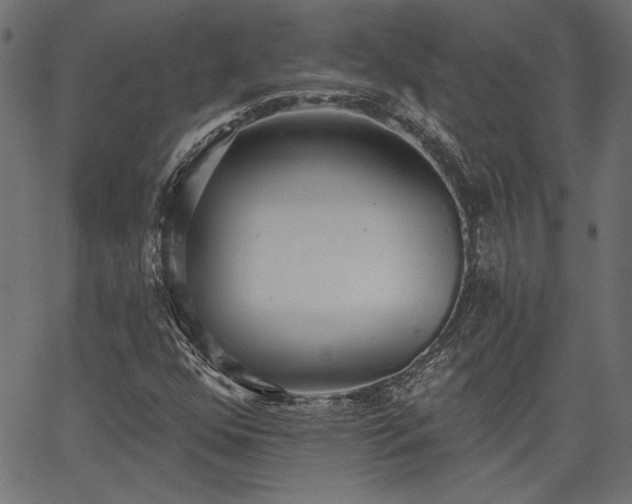 X0000067391352200603311248