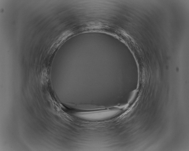 X0000067391353200603311248