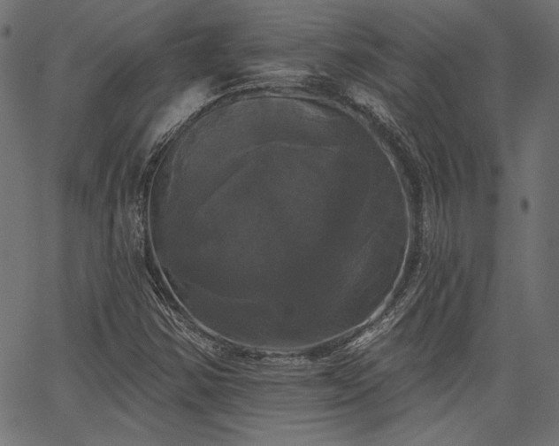 X0000067391354200603311248