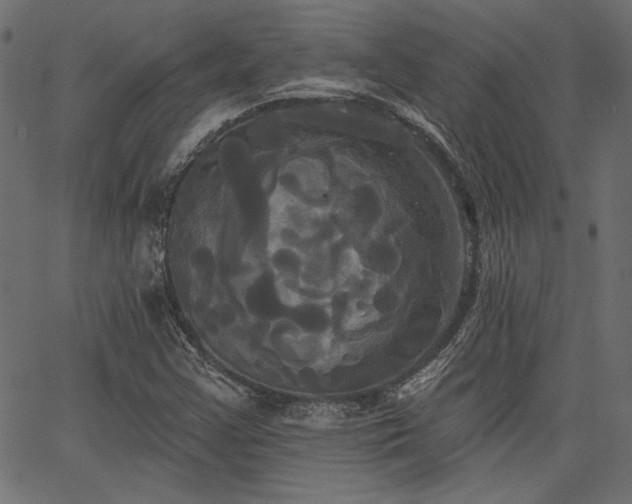 X0000067391355200603311248